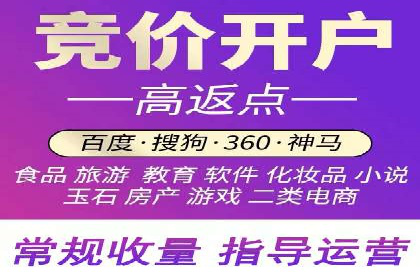 解析SEM竞价代运营的成功要素及案例